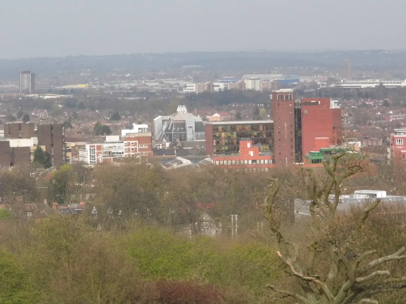 Wood Green seen from Alexandra Park. All three of this week's council meetings take place in Wood Green.