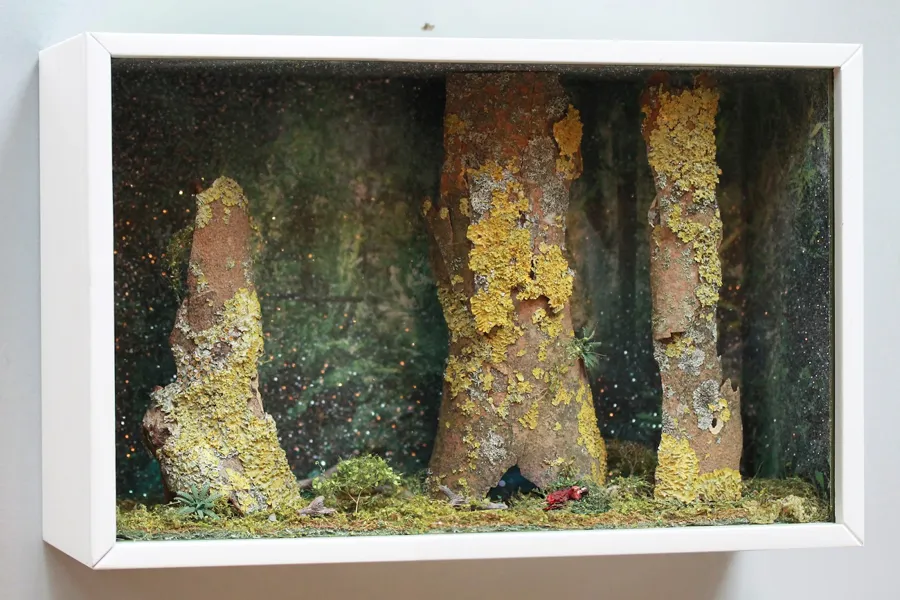 Box frame holding a miniature scene of three tree trunks